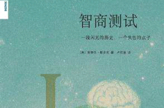 智商測試(美國作家默多克2009年創作小說)