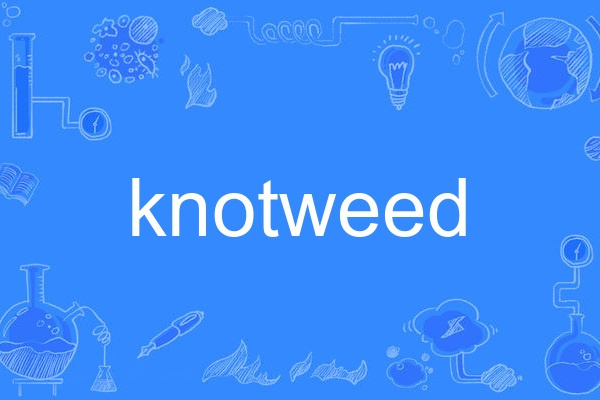 knotweed