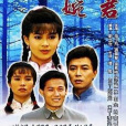 婉君(1990年俞小凡、金銘主演瓊瑤劇)