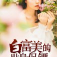 白富美的貼身保鏢(暗夜文學網小說)