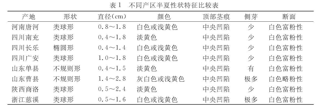 不同產區半夏性狀特徵比較表