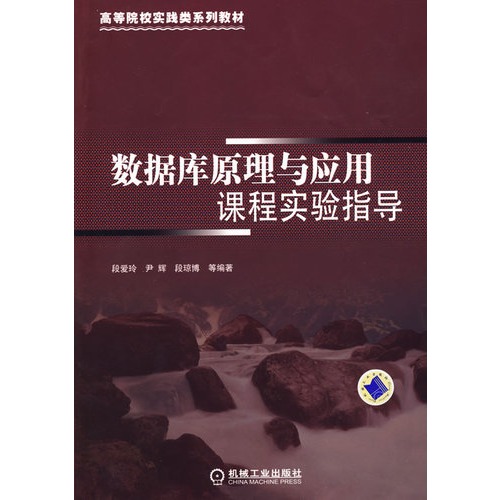 高等院校實踐類系列教材：資料庫原理與套用課程實驗指導