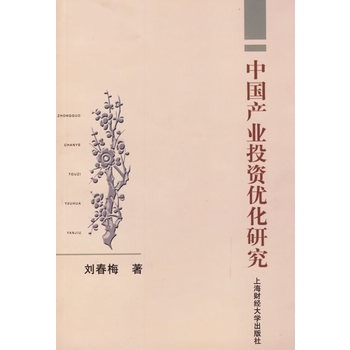 中國產業投資最佳化研究