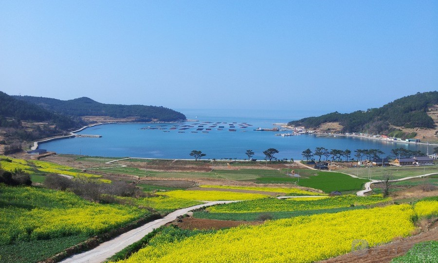 青山島(浙江省洞頭區青山島)