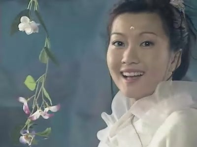 葉子菁鏡花緣中飾演百花仙子