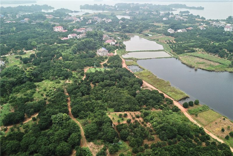 湖南瓊湖國家濕地公園