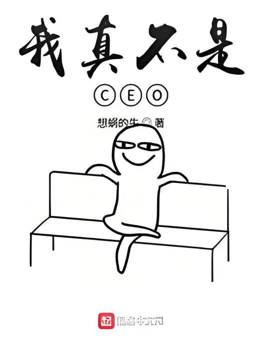 我真不是CEO