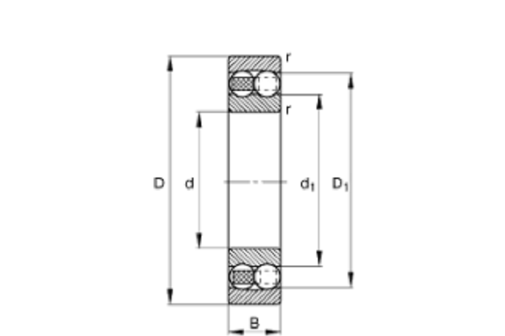 FAG N1028-K-M1-SP軸承