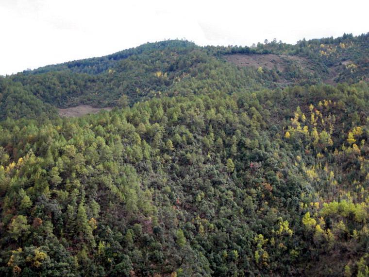 大邑那村