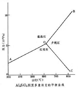 相關圖片