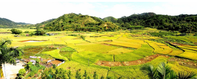 同心鎮(廣西梧州市藤縣同心鎮)