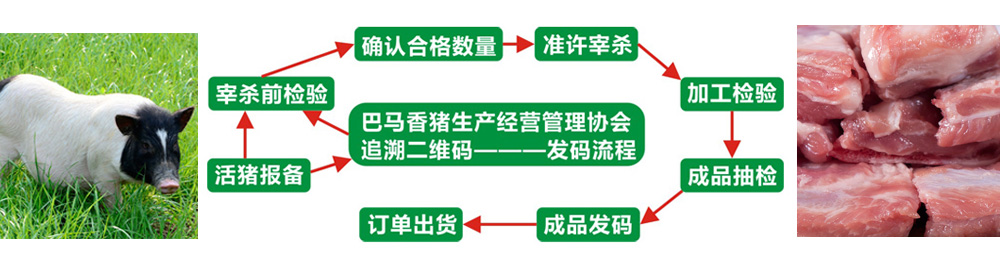 巴馬香豬生產經營管理協會