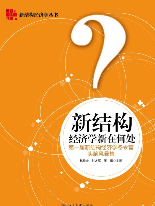 新結構經濟學新在何處：第一屆新結構經濟學冬令營頭腦風暴集