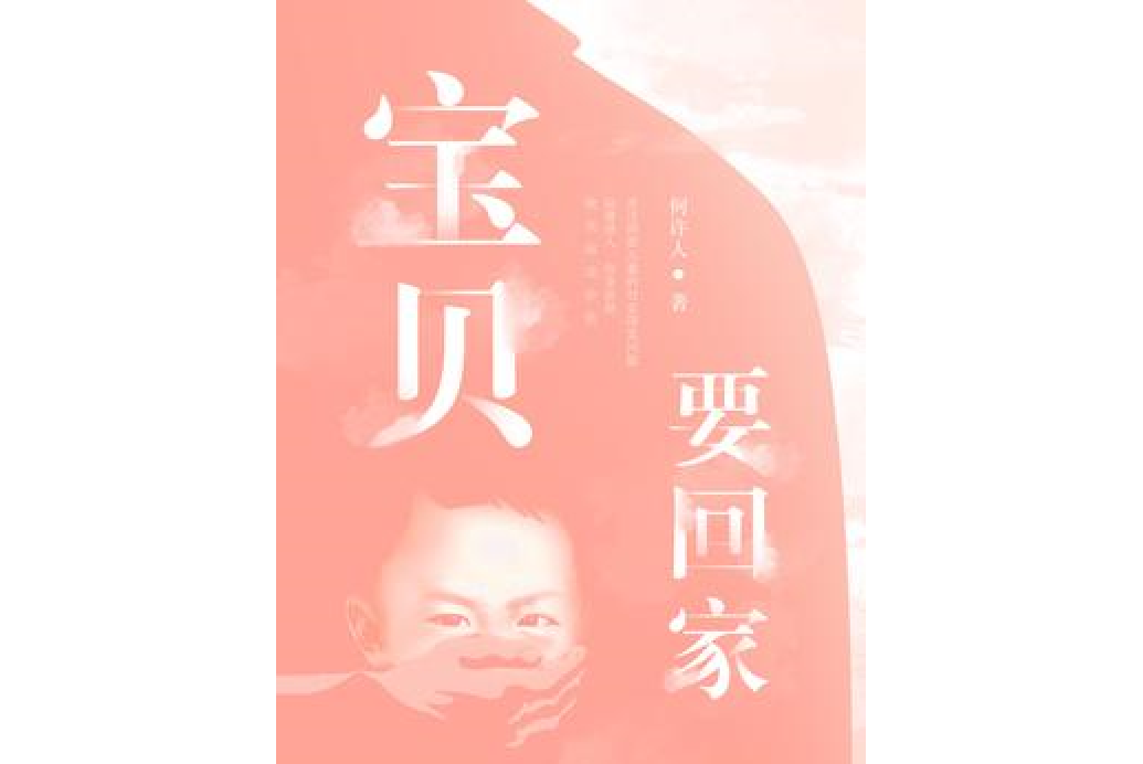 寶貝要回家(何許人所著小說)