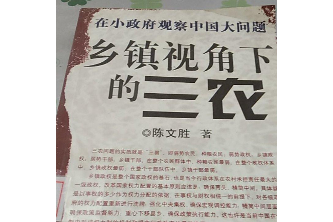 在小政府觀察中國大問題