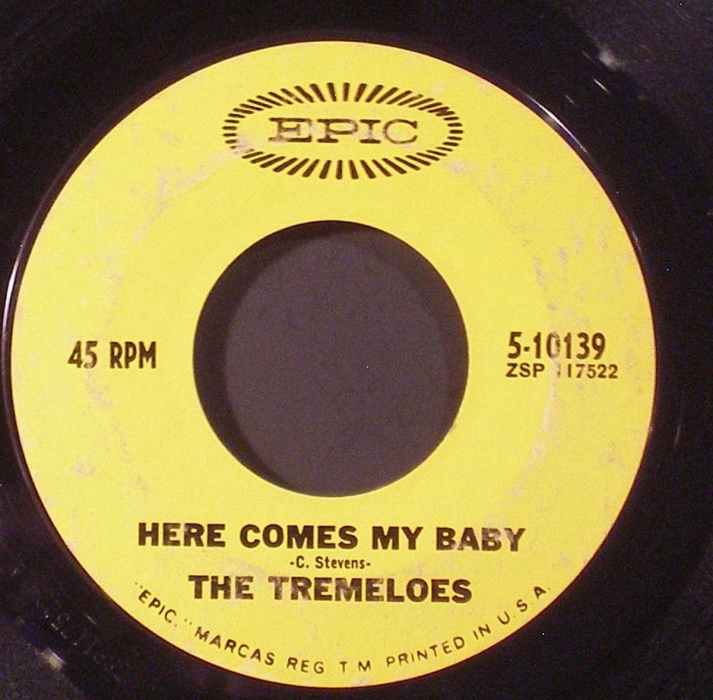 The Tremeloes - Here Comes My Baby