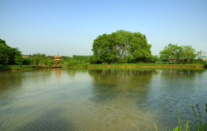 聚星湖美景