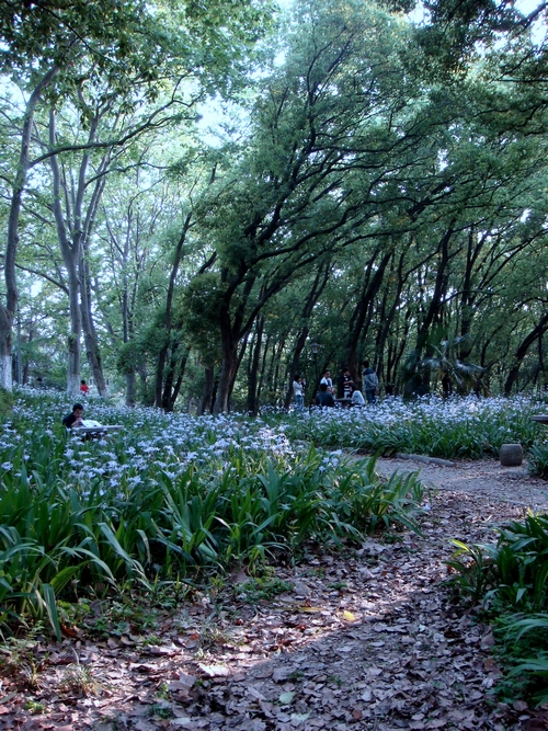 李達花園