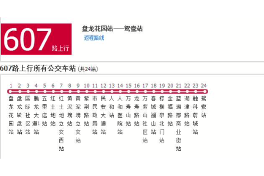 重慶公交607路