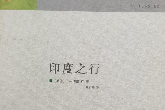 印度之行(2007年譯林出版社出版的圖書)