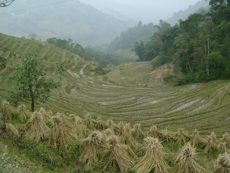 呼馬迷村