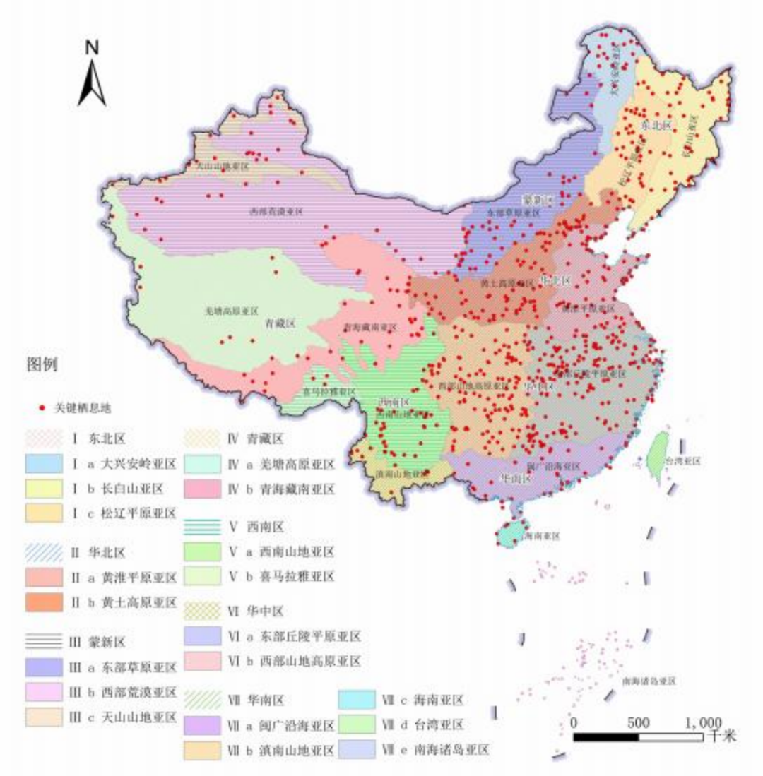 候鳥遷飛通道保護修復中國行動計畫（2024—2030年）