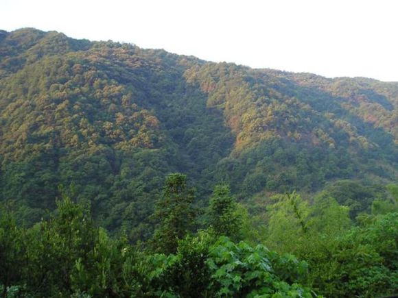 德化石牛山國家森林公園