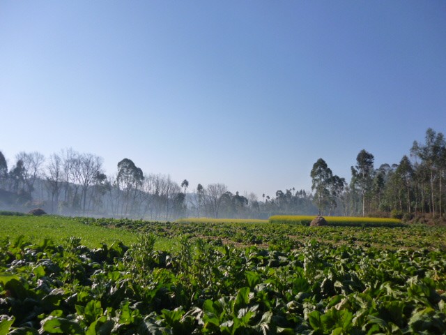 小足錄村