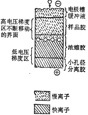 濃縮效應