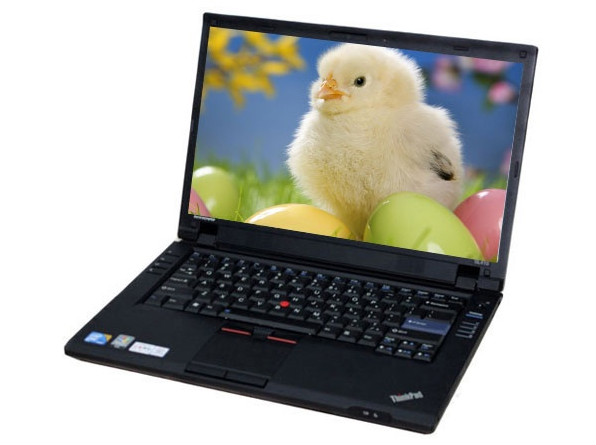 ThinkPad T510i 4314A19