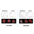 耗散粒子動力學