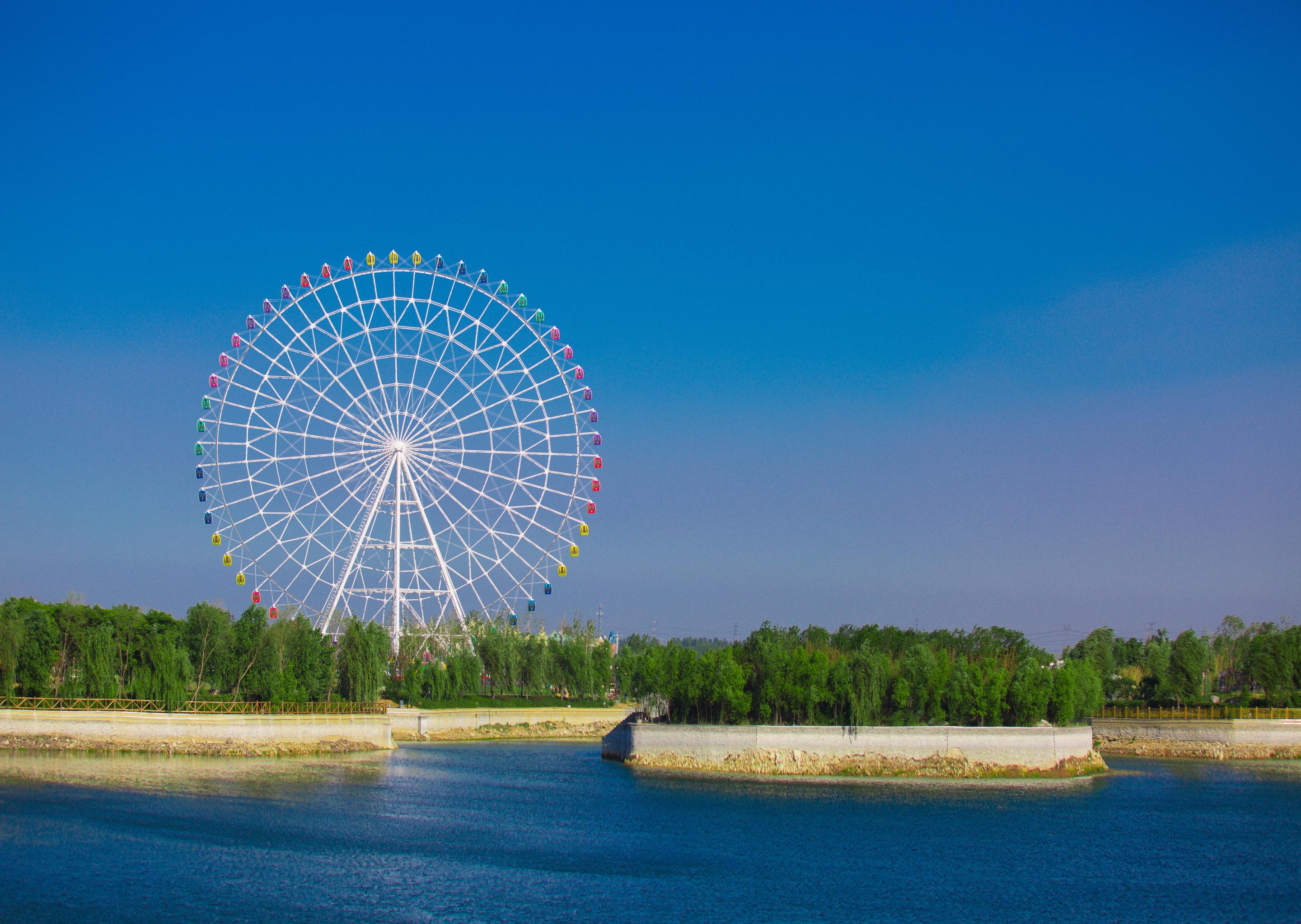 泰山花海