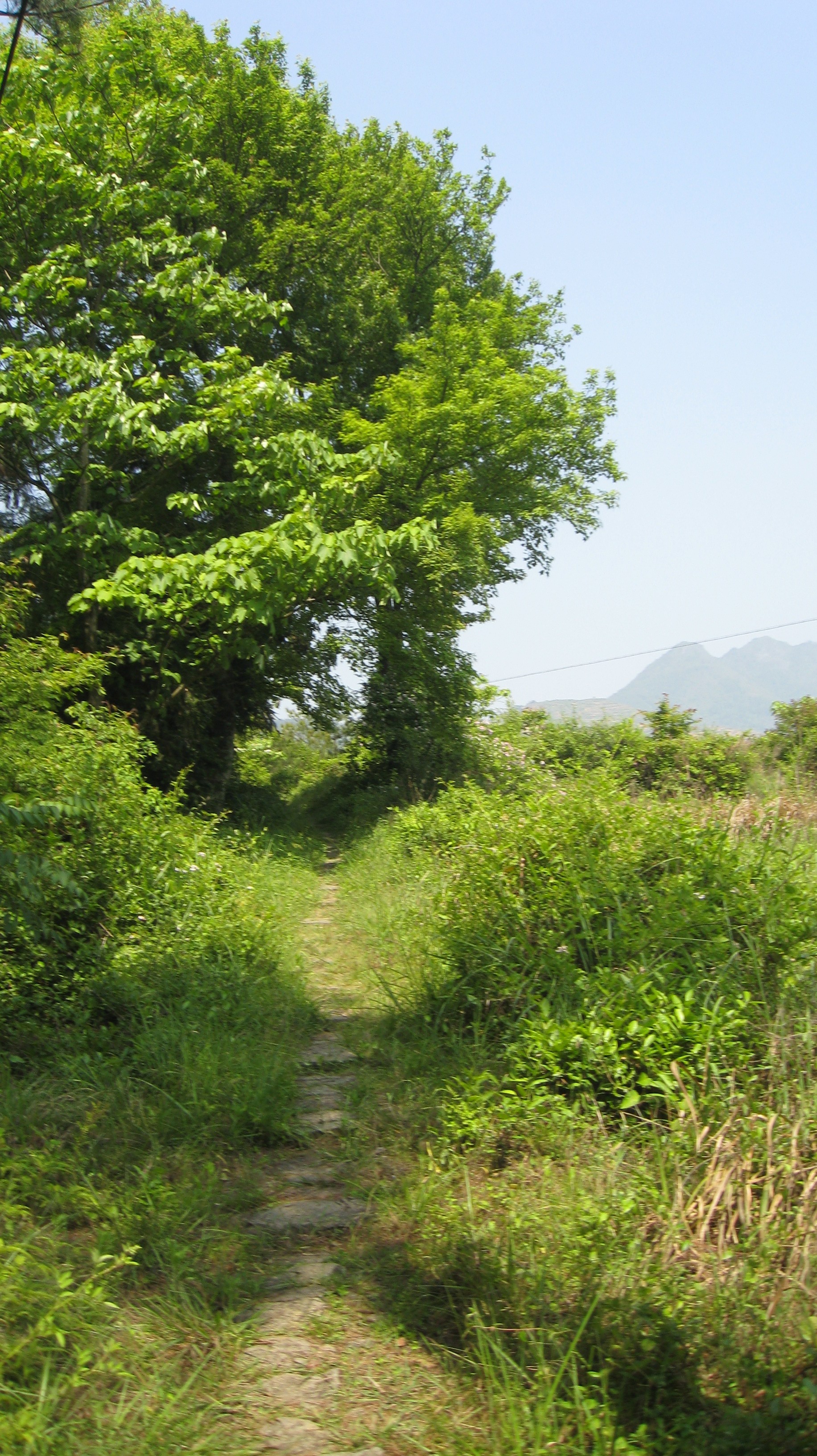 包宅嶺古道