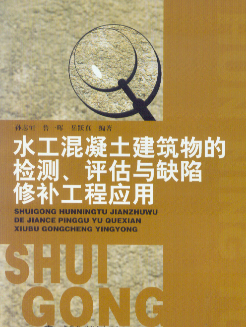 水工混凝土建築物的檢測、評估與缺陷修補工程套用