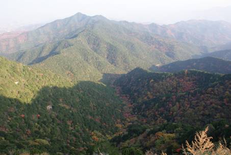 蟒頭山國家森林公園