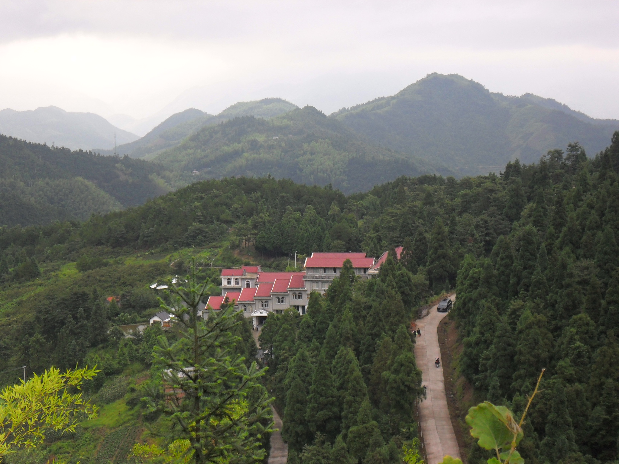 鳥瞰杜鵑山莊