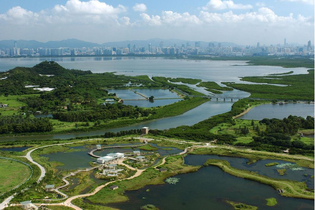 江蘇泰興長江天星洲省級濕地公園