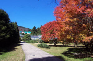 中國科學院廬山植物園