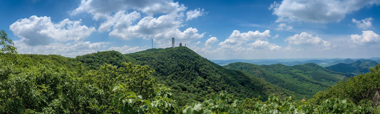 高山全景