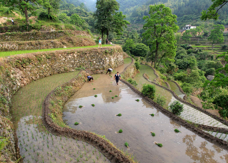 爐火垸村