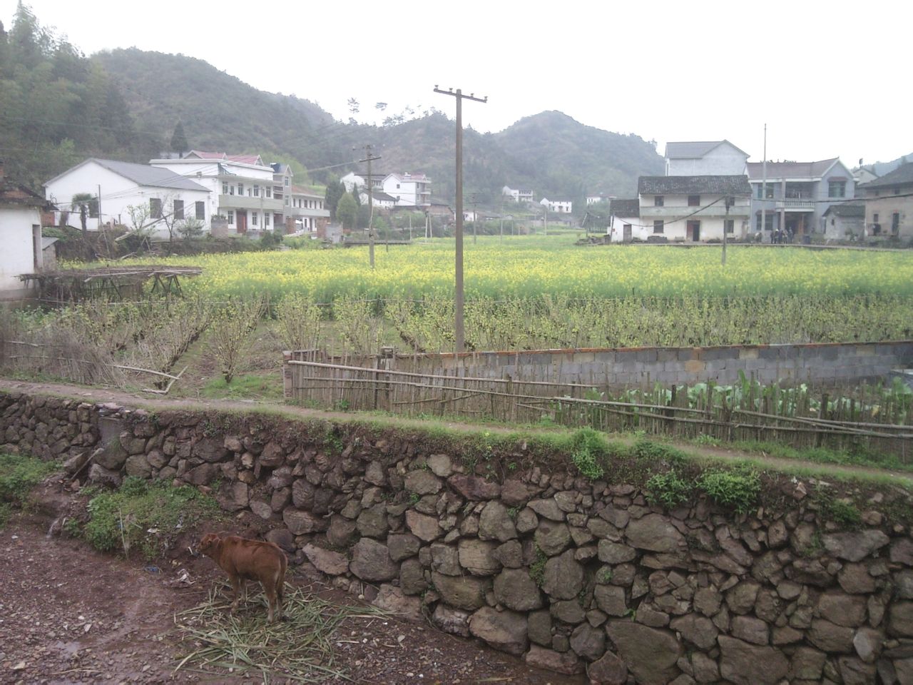 鄧家村(建德市更樓街道鄧家村)