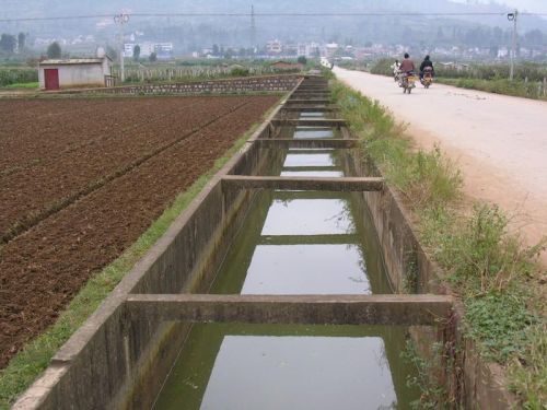 倉前村(廣東省清遠市佛岡縣逕頭鎮下轄村)