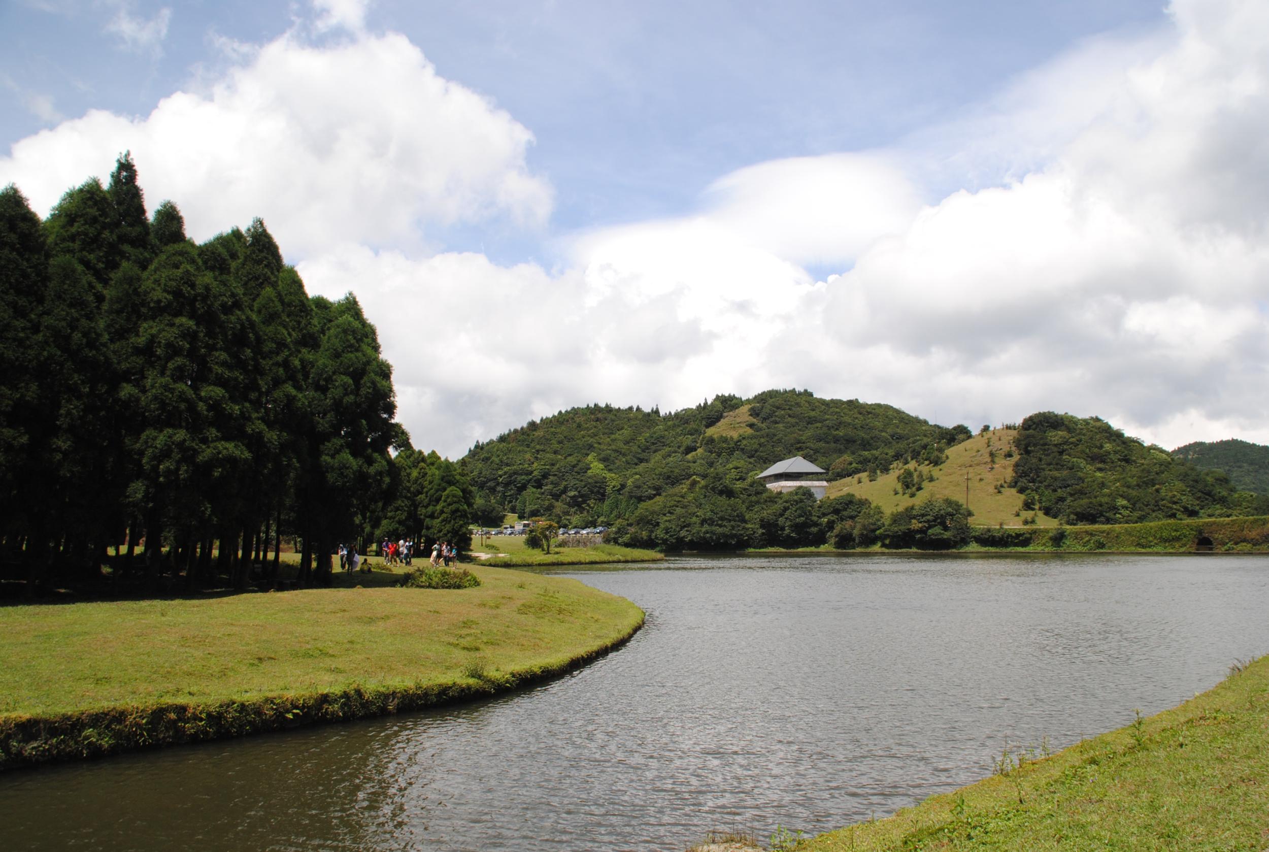 寧江森林公園