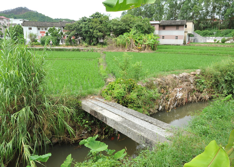 雁下村