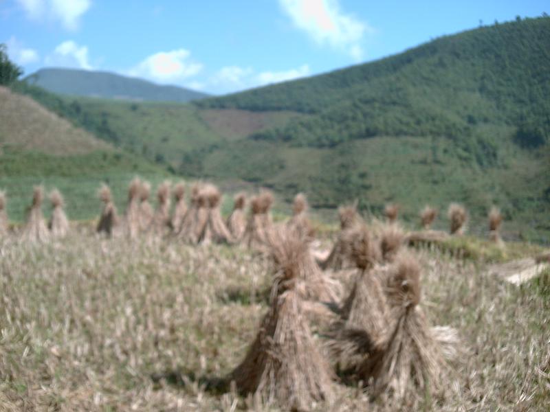 石洞寺自然村