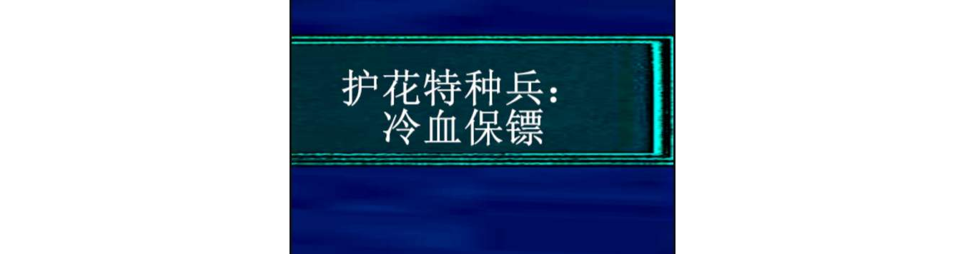 護花特種兵：冷血保鏢