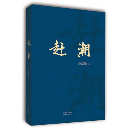 趕潮(2017年長江文藝出版社出版的圖書)