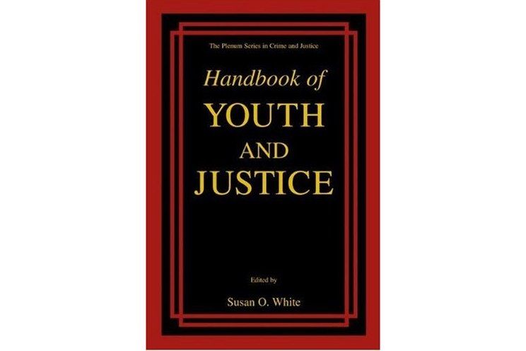 Handbook of Youth and Justice