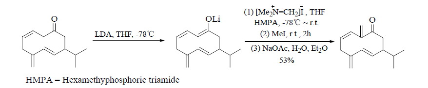 Eschemoser亞甲基化反應