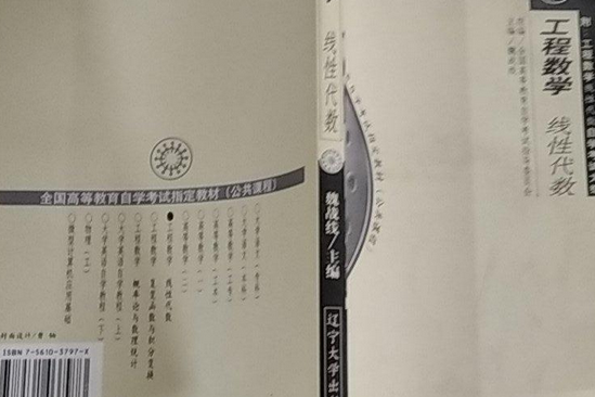 工程數學：線性代數(1999年遼寧大學出版社出版的圖書)